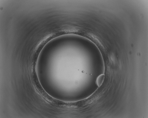 X0000081490539200701121512