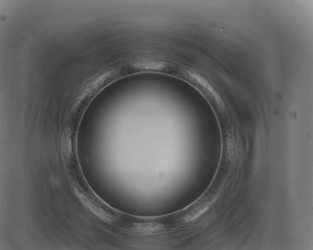 X0000081490541200701121512