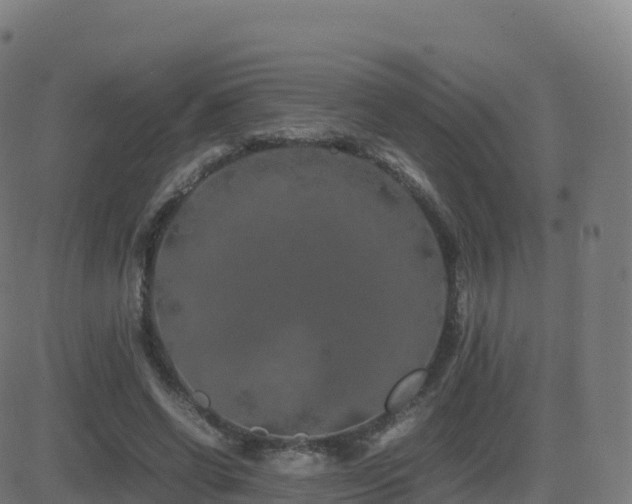 X0000081490542200701121512