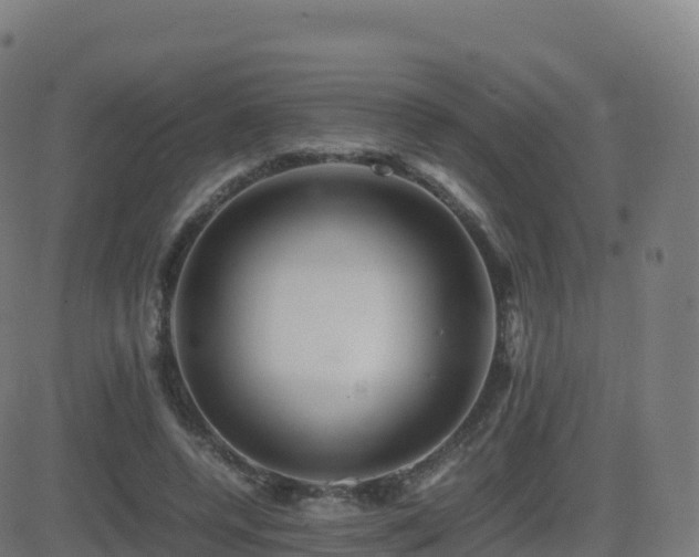 X0000081490544200701121512