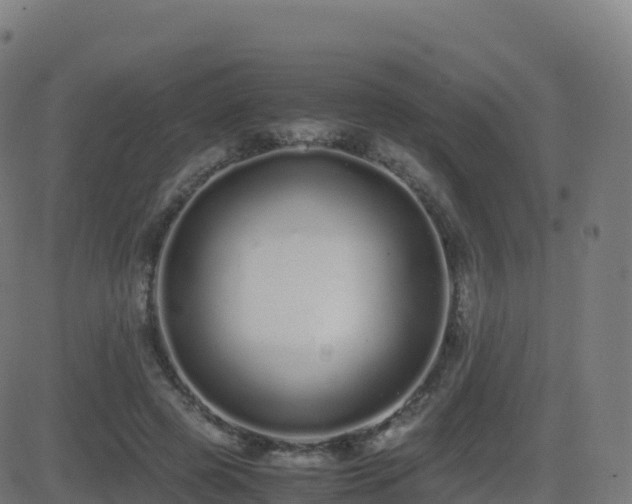 X0000081490545200701121512