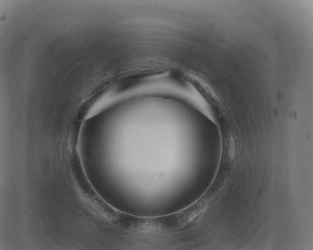 X0000081490546200701121512