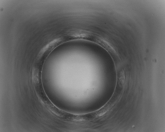 X0000081490547200701121513