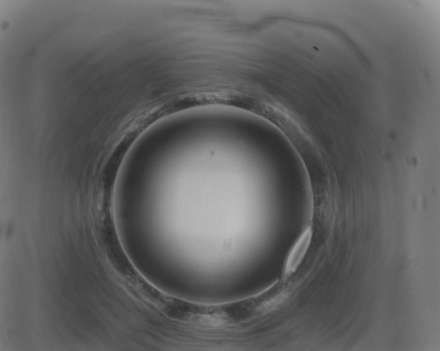 X0000081490548200701121513