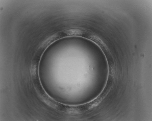 X0000081490549200701121513