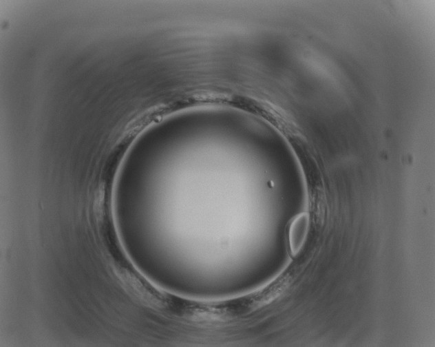 X0000081490550200701121513