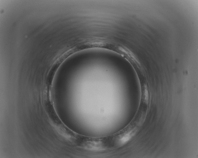 X0000081490552200701121513