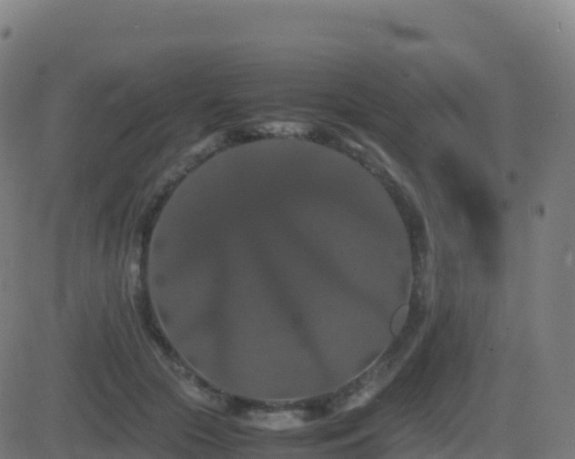 X0000081490553200701121513