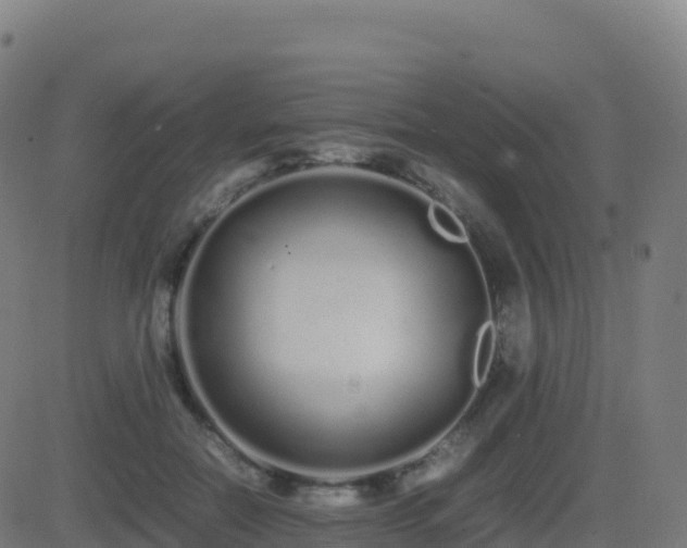 X0000081490554200701121513