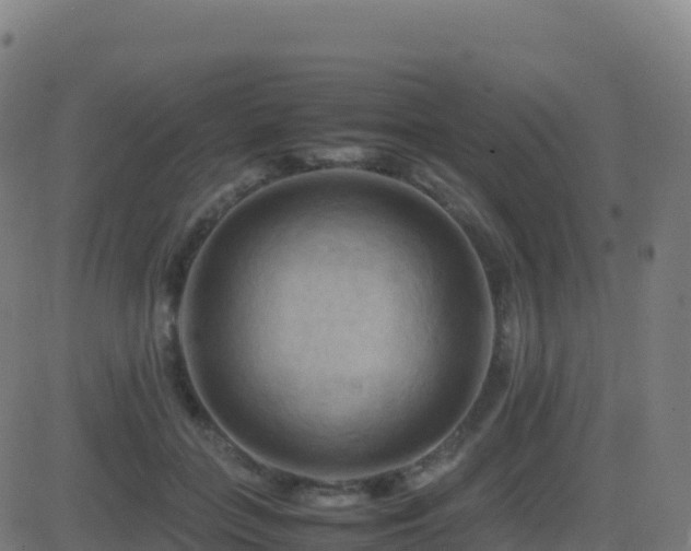 X0000081490555200701121513