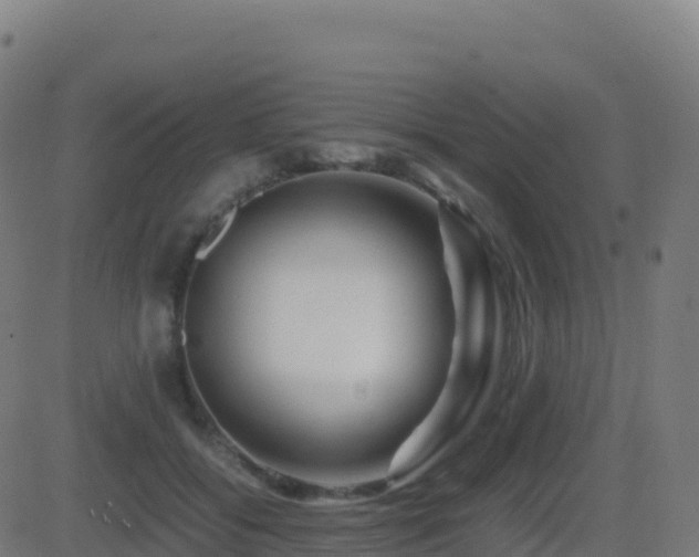 X0000081490556200701121513