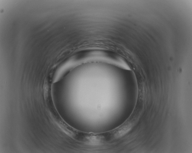 X0000081490558200701121513