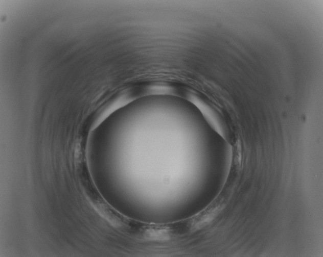 X0000081490560200701121513