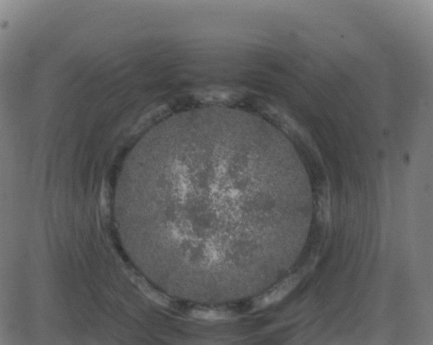 X0000081490561200701121513