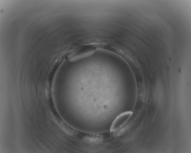 X0000081490563200701121513