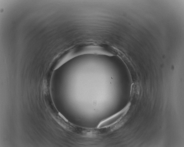 X0000081490564200701121513