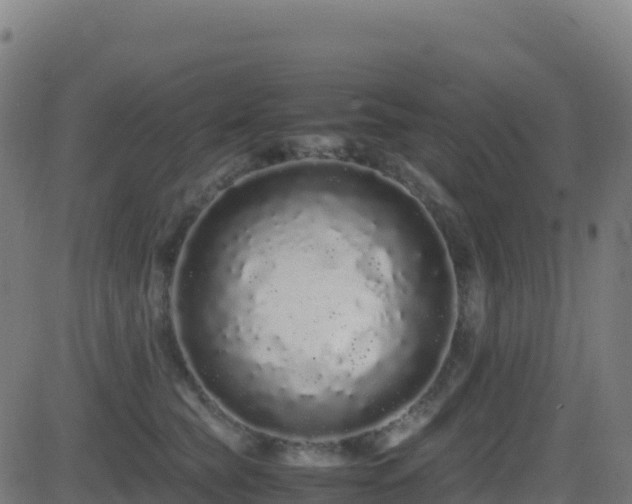 X0000081490565200701121513