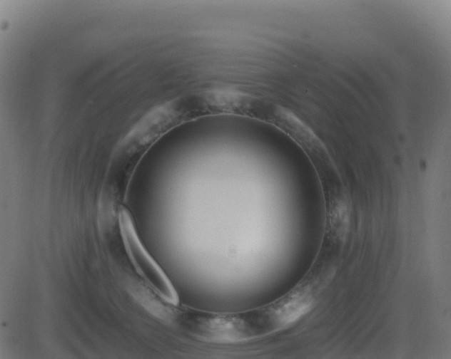 X0000081490566200701121513