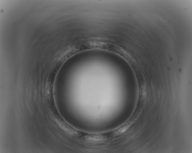 X0000081490567200701121513