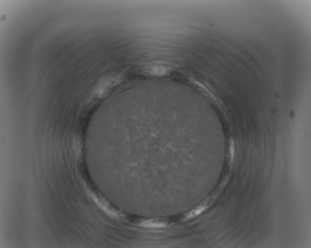 X0000081490568200701121513