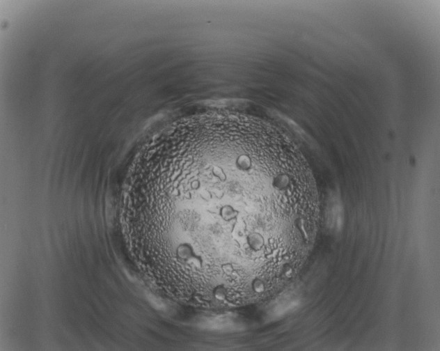 X0000081490569200701121513