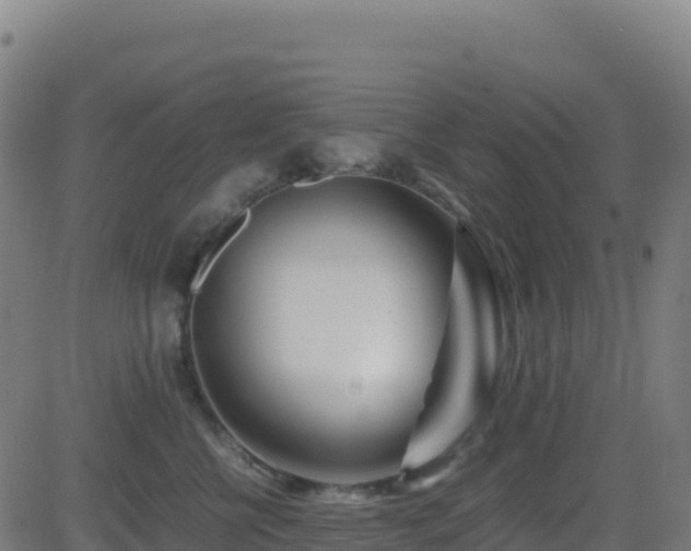 X0000081490570200701121513