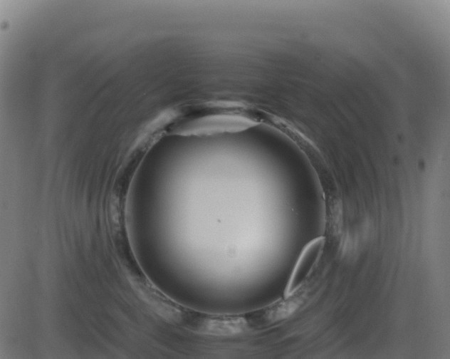 X0000081490571200701121513