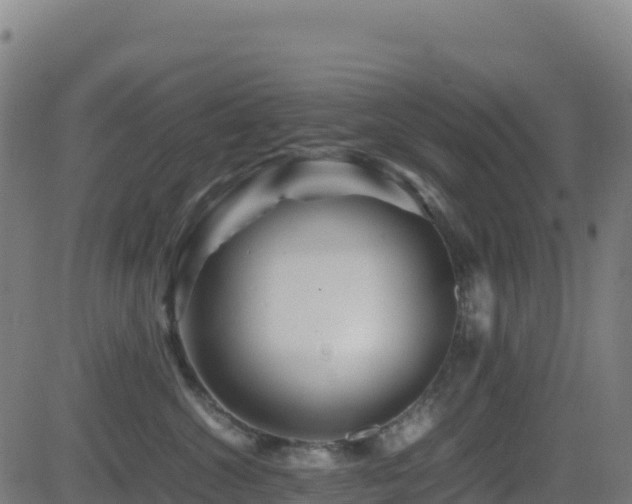 X0000081490572200701121513