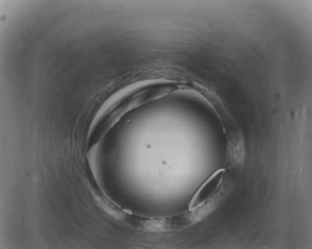 X0000081490574200701121513