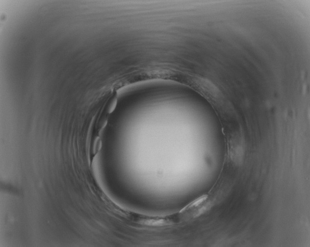 X0000081490575200701121513