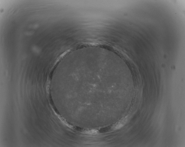 X0000081490576200701121513