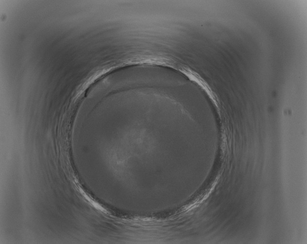 X0000081490577200701121512