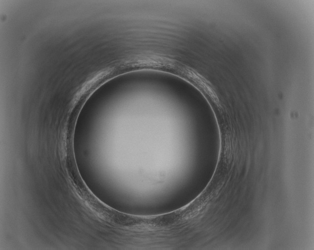 X0000081490578200701121512