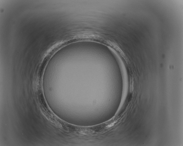 X0000081490579200701121512