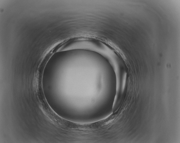 X0000081490580200701121512