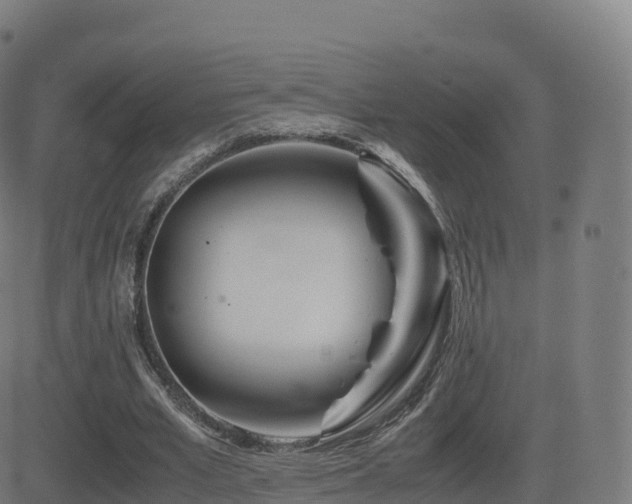 X0000081490581200701121512