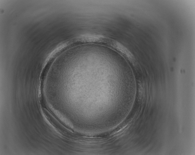 X0000081490582200701121512