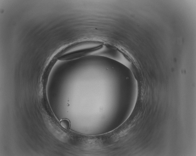 X0000081490584200701121512