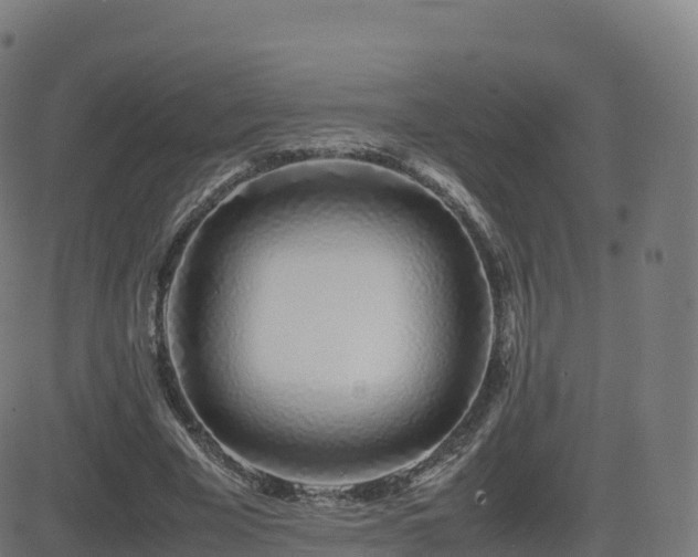 X0000081490585200701121512