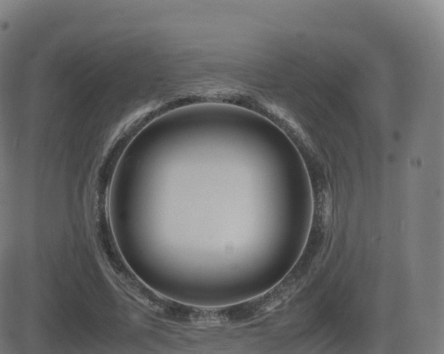 X0000081490587200701121512