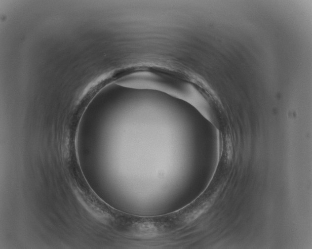 X0000081490588200701121512