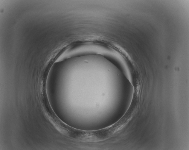 X0000081490589200701121512