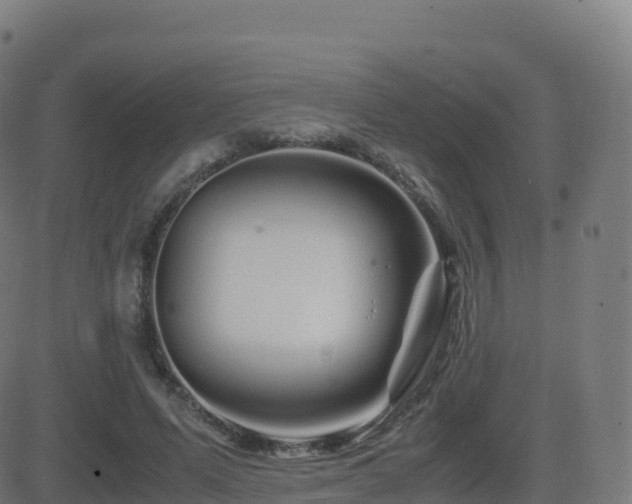 X0000081490591200701121512