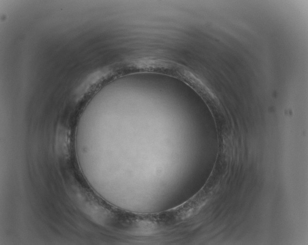 X0000081490592200701121512