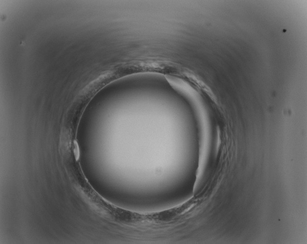 X0000081490593200701121512