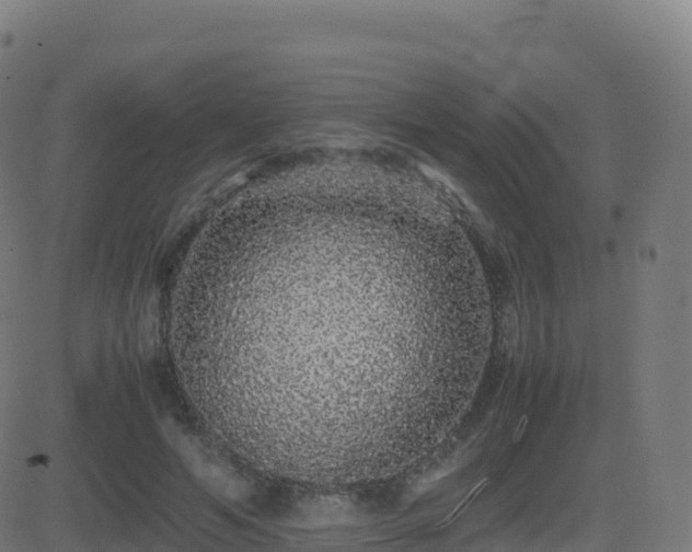 X0000081490594200701121512