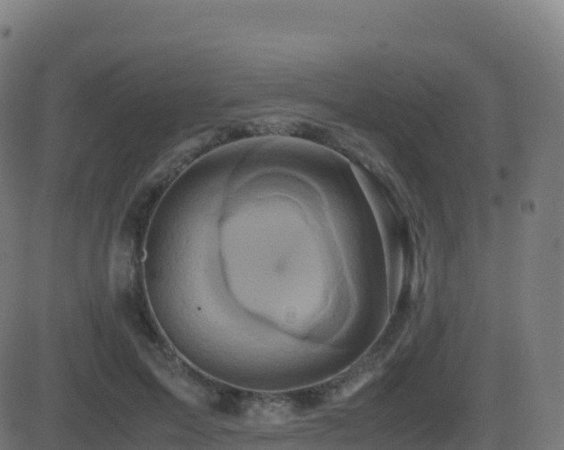 X0000081490599200701121512