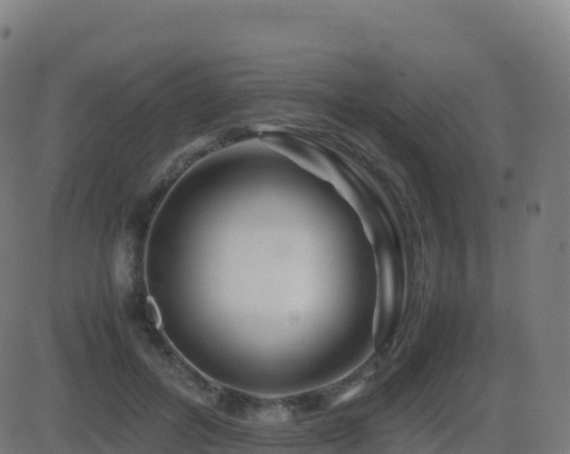 X0000081490600200701121512