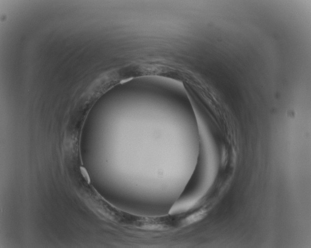 X0000081490601200701121512