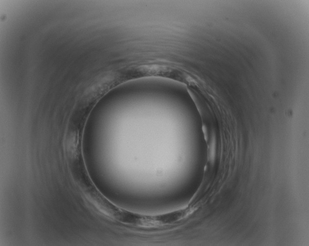 X0000081490605200701121512